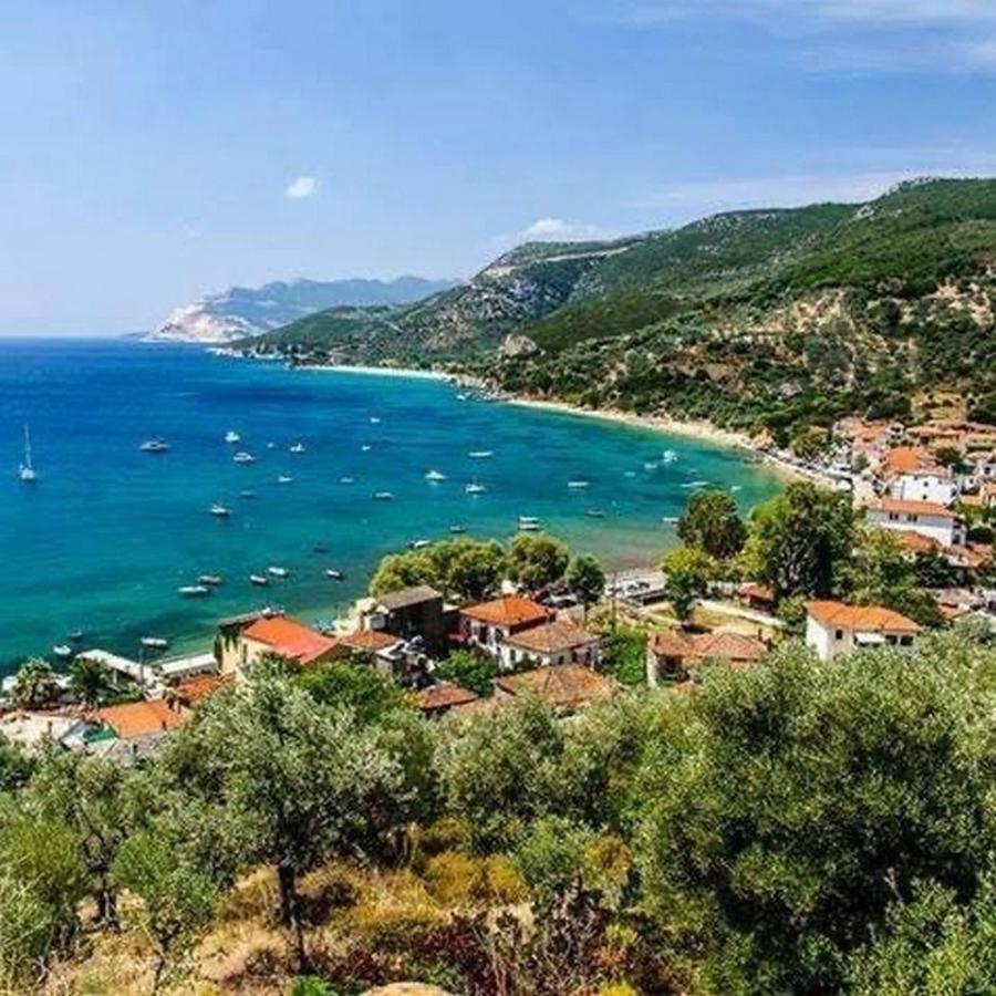 Harmony Seaside Pelion Apartman Plataniász Kültér fotó