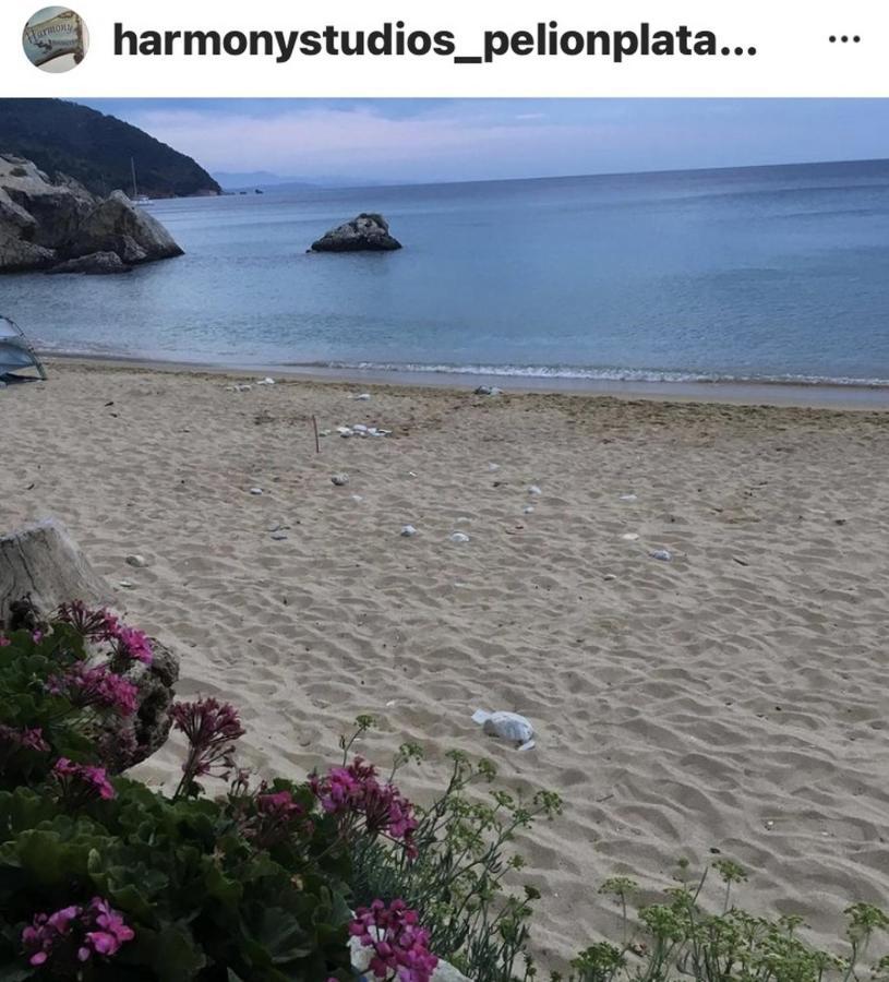 Harmony Seaside Pelion Apartman Plataniász Kültér fotó