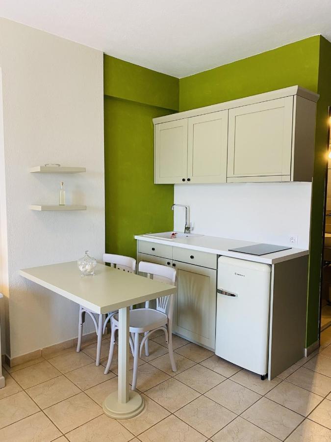 Harmony Seaside Pelion Apartman Plataniász Kültér fotó